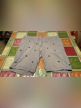 Men’s Size 38 Dirty Laundry Gray Chino Shorts Embroidered Palm Tree Beach Casual